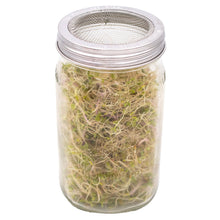 Load image into Gallery viewer, Curved Sprouting Lid and Band for Mason Jars