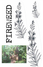 Load image into Gallery viewer, Fireweed Zine #2: Grassroots Radical Herbalism