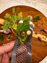 Load image into Gallery viewer, Garlic Press & Herb Stripper