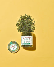 Load image into Gallery viewer, Take Care Tea - organic herbal tea blend for an immune boost