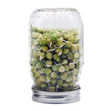 Load image into Gallery viewer, Curved Sprouting Lid and Band for Mason Jars