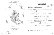 Load image into Gallery viewer, Herbs & Plants for Food & Medicine: Field Kitchen Guide Zine