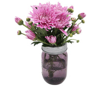 Load image into Gallery viewer, Frog Lid for Mason Jars