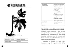 Load image into Gallery viewer, Everyday Herbal Teamaking: Health, Fun, and Self-Care Guide