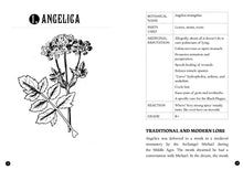 Load image into Gallery viewer, Everyday Herbal Teamaking: Health, Fun, and Self-Care Guide