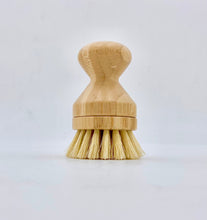 Load image into Gallery viewer, Pot Scrubber with Replaceable Head