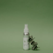 Load image into Gallery viewer, Detangling Mist | Nontoxic Baby/Toddler Detangler Leave-in