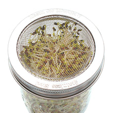 Load image into Gallery viewer, Curved Sprouting Lid and Band for Mason Jars