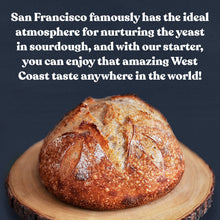 Load image into Gallery viewer, San Francisco Sourdough Starter