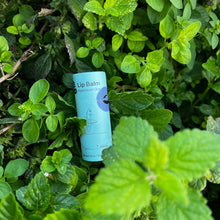 Load image into Gallery viewer, Peppermint Clove Vegan Lip Balm
