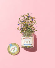 Load image into Gallery viewer, Stardust Tea - organic herbal tea blend for magical dreaming