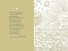 Load image into Gallery viewer, Sun & Moon Journal: A Three-Year Chronicle