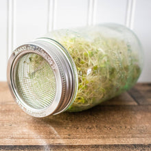 Load image into Gallery viewer, Curved Sprouting Lid and Band for Mason Jars
