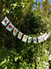 Load image into Gallery viewer, Rainbow Herbs Prayer Flags