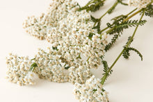 Load image into Gallery viewer, Deep Magic Hair + Scalp Serum