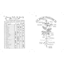 Load image into Gallery viewer, Make Your Place