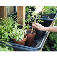 Load image into Gallery viewer, Adult Toothbrush