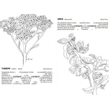 Load image into Gallery viewer, Plants Against the Patriarchy: Invoking the Magical Allyship