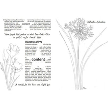 Load image into Gallery viewer, Plants Against the Patriarchy: Invoking the Magical Allyship