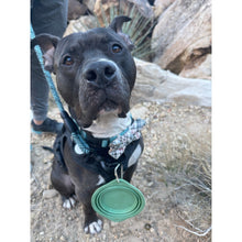 Load image into Gallery viewer, Collapsible Silicone Dog Bowl