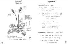 Load image into Gallery viewer, Herbs &amp; Plants for Food &amp; Medicine: Field Kitchen Guide Zine

