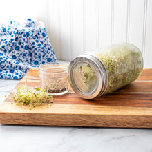 Load image into Gallery viewer, Curved Sprouting Lid and Band for Mason Jars
