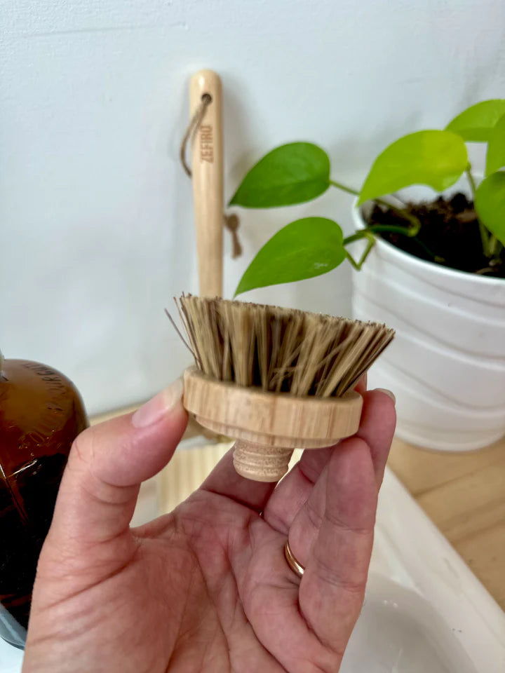 Refill Head for Dish Brushes