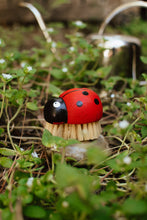 Load image into Gallery viewer, Ladybug Brush
