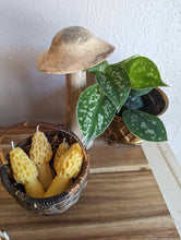 Load image into Gallery viewer, Mini Morel Beeswax Candle
