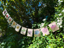 Load image into Gallery viewer, Rainbow Herbs Prayer Flags
