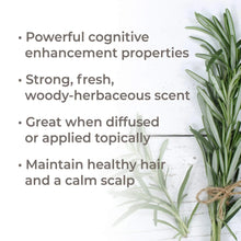 Load image into Gallery viewer, Rosemary 1,8-Cineole Organic Essential Oil 10 mL
