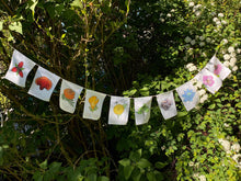 Load image into Gallery viewer, Rainbow Herbs Prayer Flags
