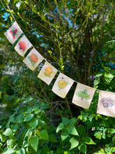 Load image into Gallery viewer, Rainbow Herbs Prayer Flags
