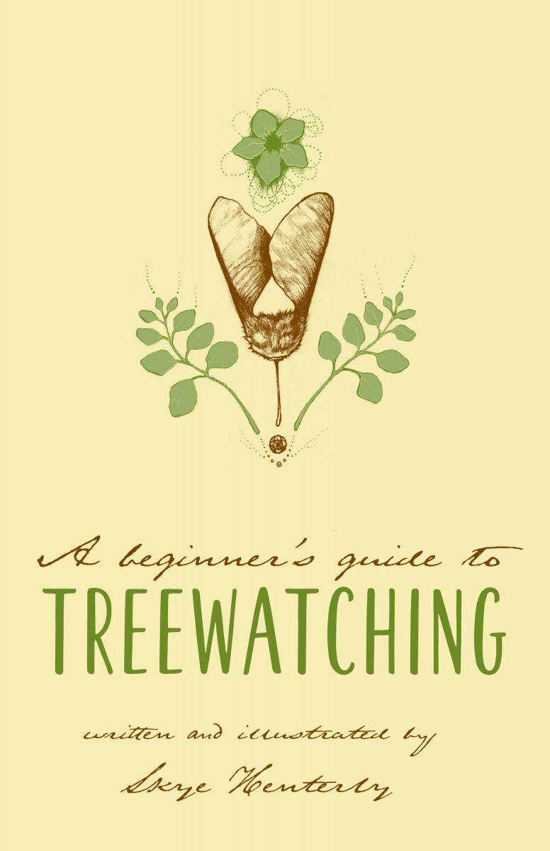 Beginner's Guide to Treewatching – The Refillery Traverse City