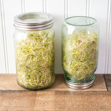 Load image into Gallery viewer, Curved Sprouting Lid and Band for Mason Jars
