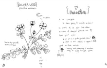 Load image into Gallery viewer, Herbs &amp; Plants for Food &amp; Medicine: Field Kitchen Guide Zine
