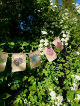 Load image into Gallery viewer, Rainbow Herbs Prayer Flags
