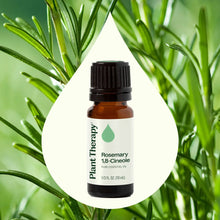 Load image into Gallery viewer, Rosemary 1,8-Cineole Organic Essential Oil 10 mL
