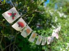 Load image into Gallery viewer, Rainbow Herbs Prayer Flags
