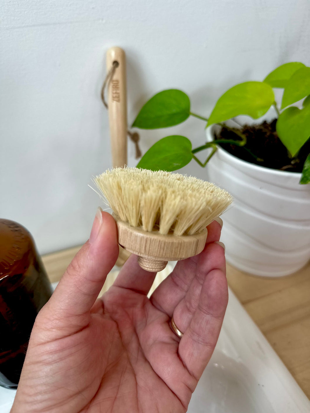 Refill Head for Dish Brushes