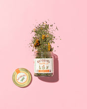 Load image into Gallery viewer, Sunshine Tea - organic herbal tea blend for brightening your mood
