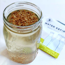Load image into Gallery viewer, Water Kefir Grains
