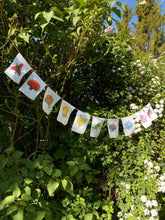 Load image into Gallery viewer, Rainbow Herbs Prayer Flags
