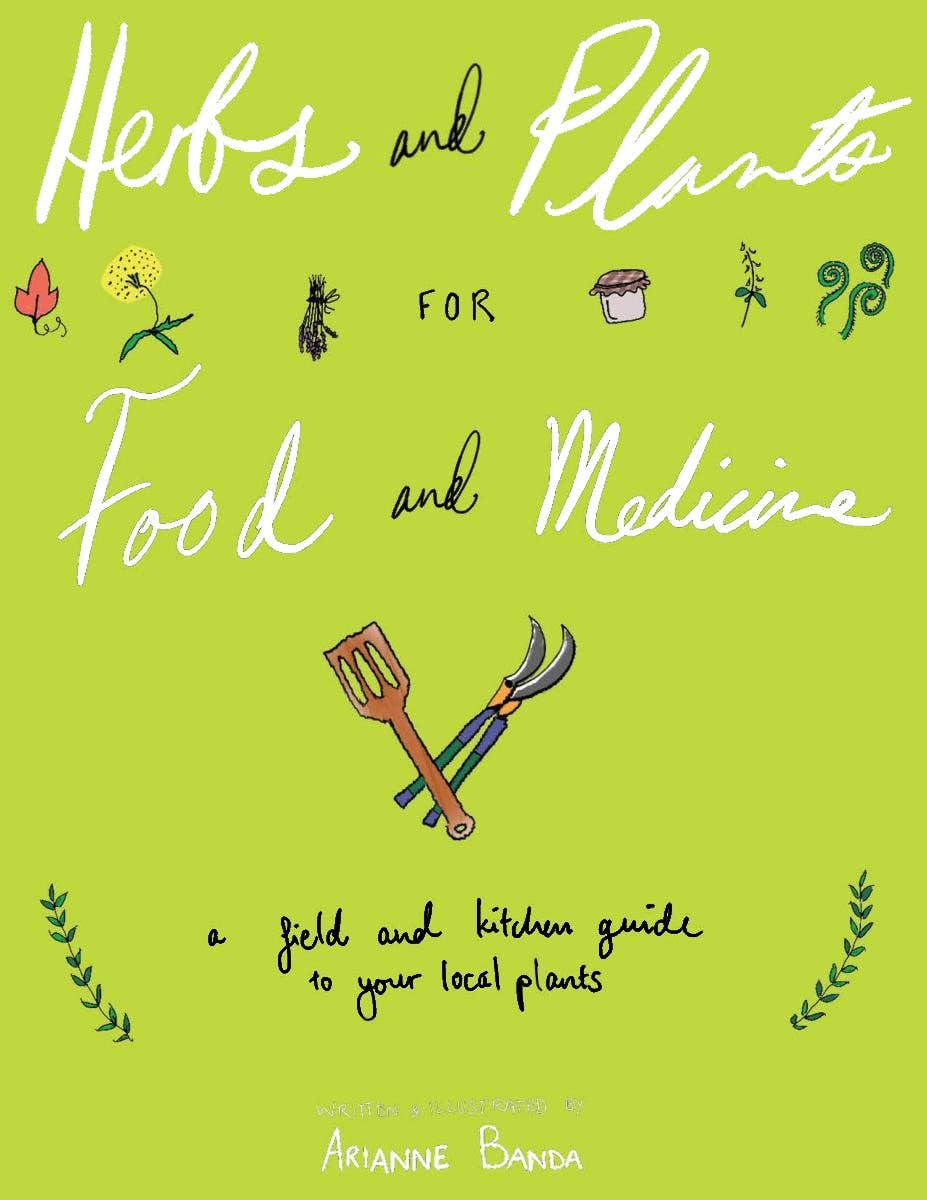 Herbs & Plants for Food & Medicine: Field Kitchen Guide Zine