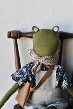 Load image into Gallery viewer, Fern the Frog Doll
