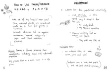 Load image into Gallery viewer, Herbs &amp; Plants for Food &amp; Medicine: Field Kitchen Guide Zine
