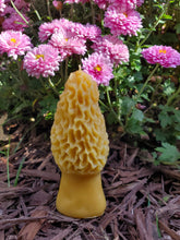 Load image into Gallery viewer, Large Morel Mushroom Beeswax Candle

