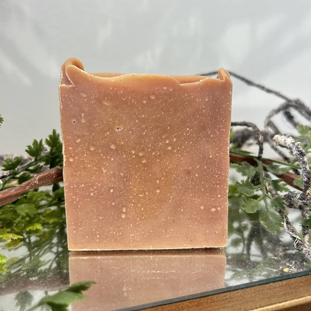 Citrus & Spice Soap Bar